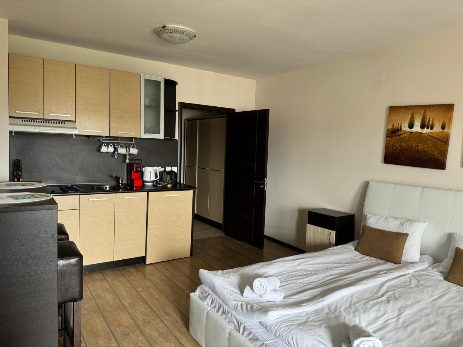Alpine Lodge Bansko Apartments Экстерьер фото