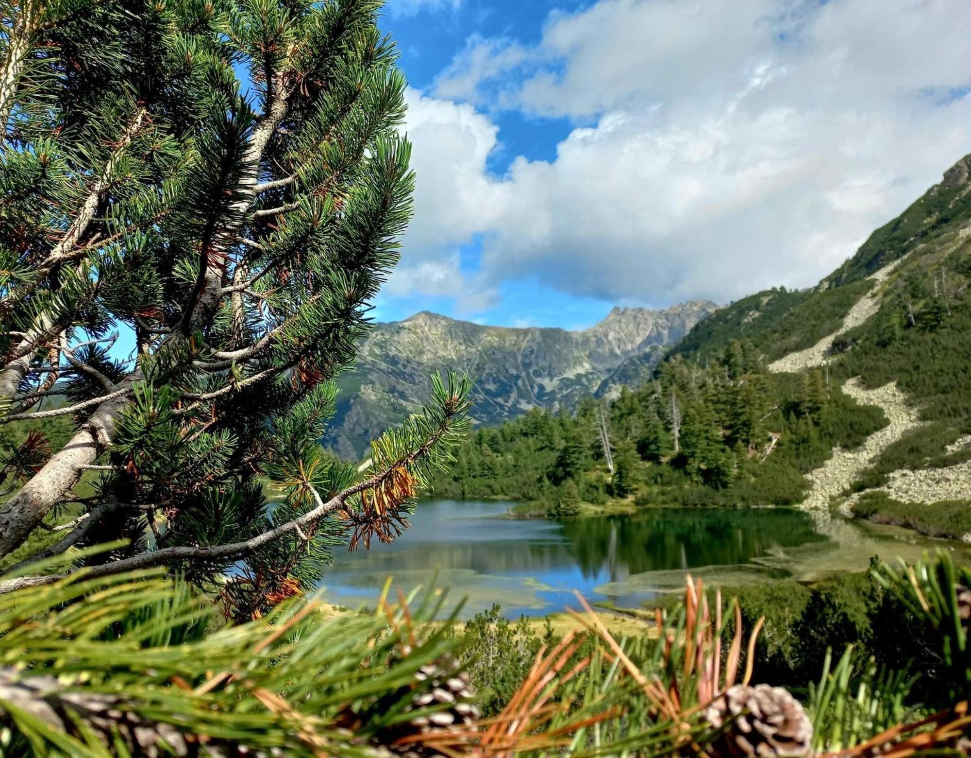 Alpine Lodge Bansko Apartments Экстерьер фото
